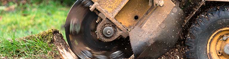 Experience and equipment needed for stump grinding