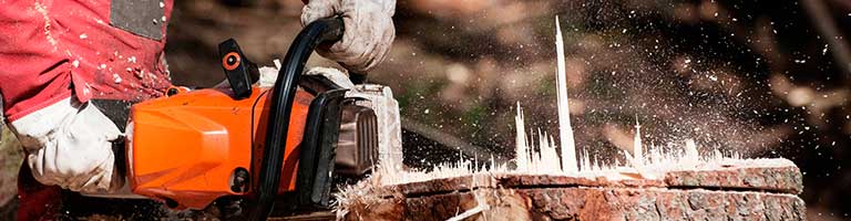 Safety is one of the benefits of hiring stump grinding experts