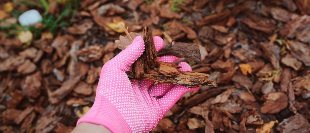 Bark mulch in flower beds