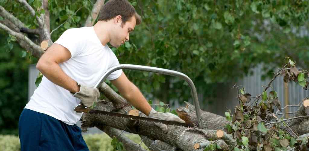 backyard spring cleaning