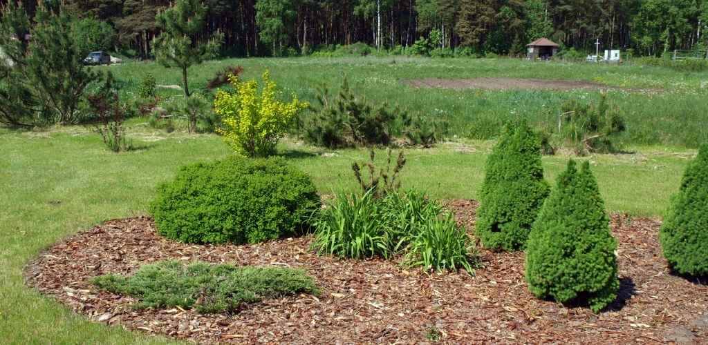 mulching garden tips