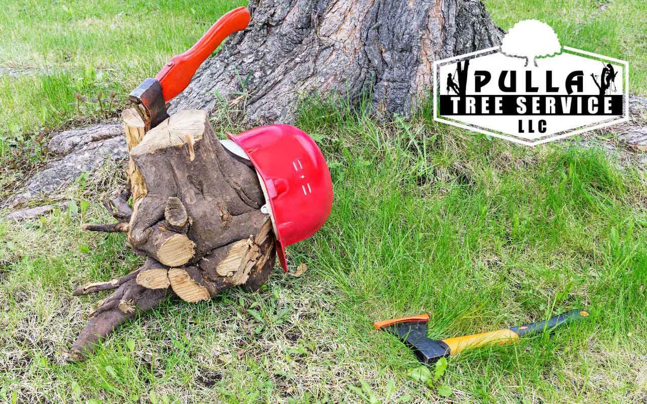 right equipment to remove trees properly