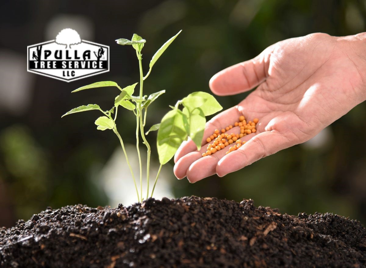 Learn about the types of fertilizers