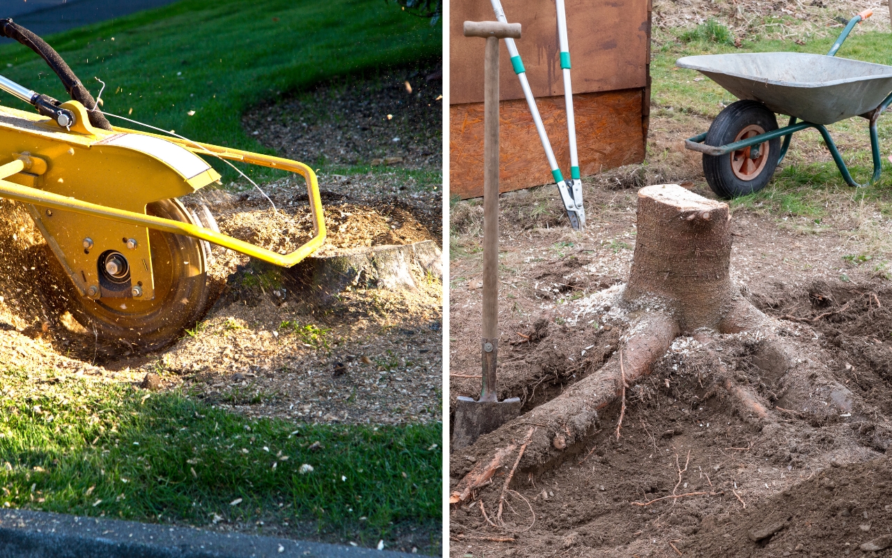 Comparing stump grinding and removal techniques.