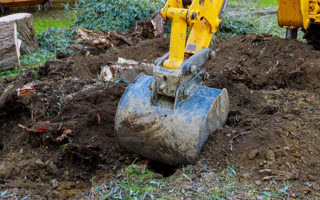 Complete stump removal process, showing an excavated hole where a stump was fully removed.