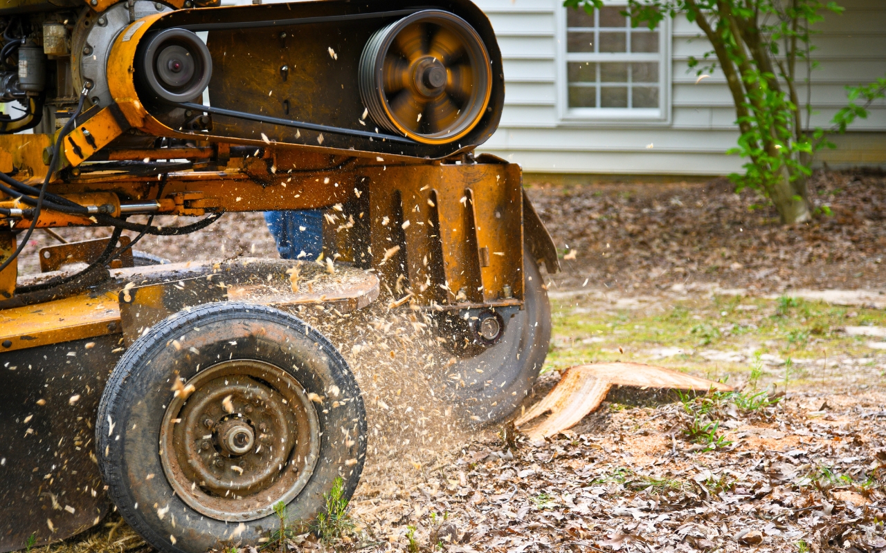 Comparing stump grinding and removal techniques.