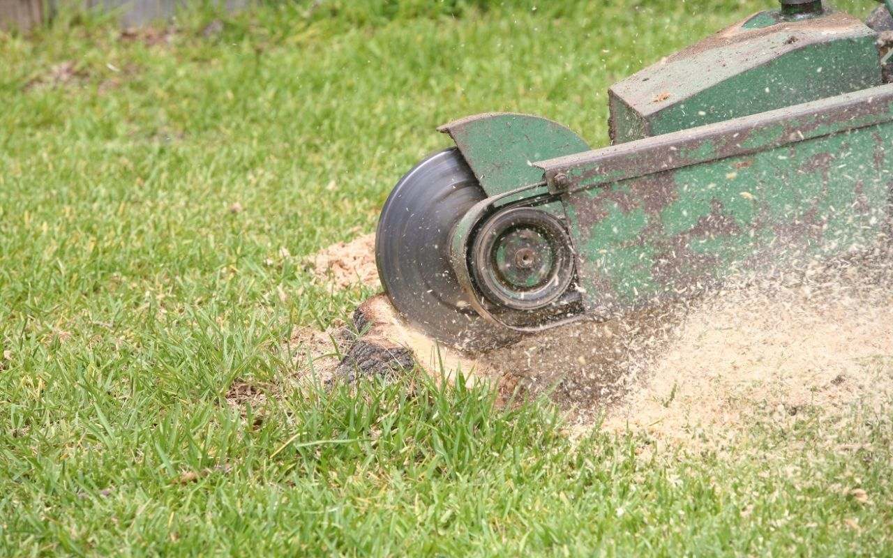 Best practices for stump grinding in Danbury for a safe and efficient yard project